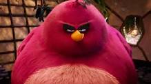 Big Red Angry Bird